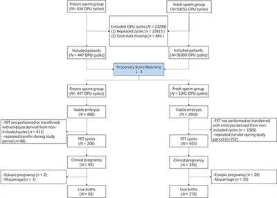 Effect of freezing and thawing on ejaculated sperm and subsequent pregnancy and neonatal outcomes in IVF